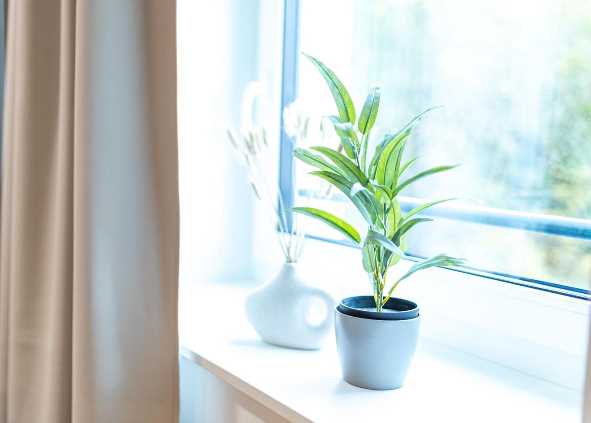 Dwellstay - City Apartments Fulda Phòng bức ảnh